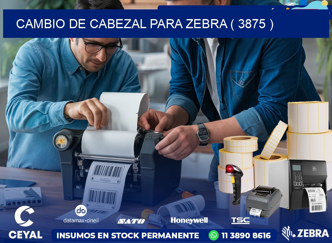 CAMBIO DE CABEZAL PARA ZEBRA ( 3875 )