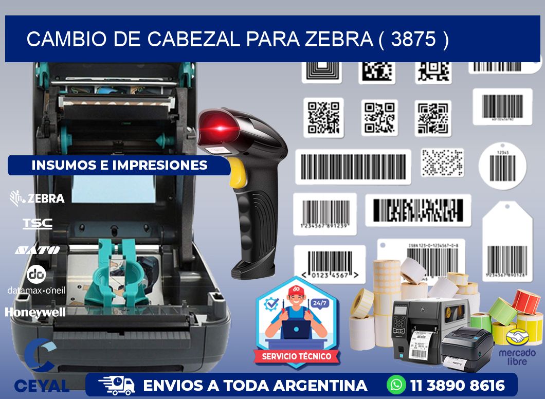 CAMBIO DE CABEZAL PARA ZEBRA ( 3875 )