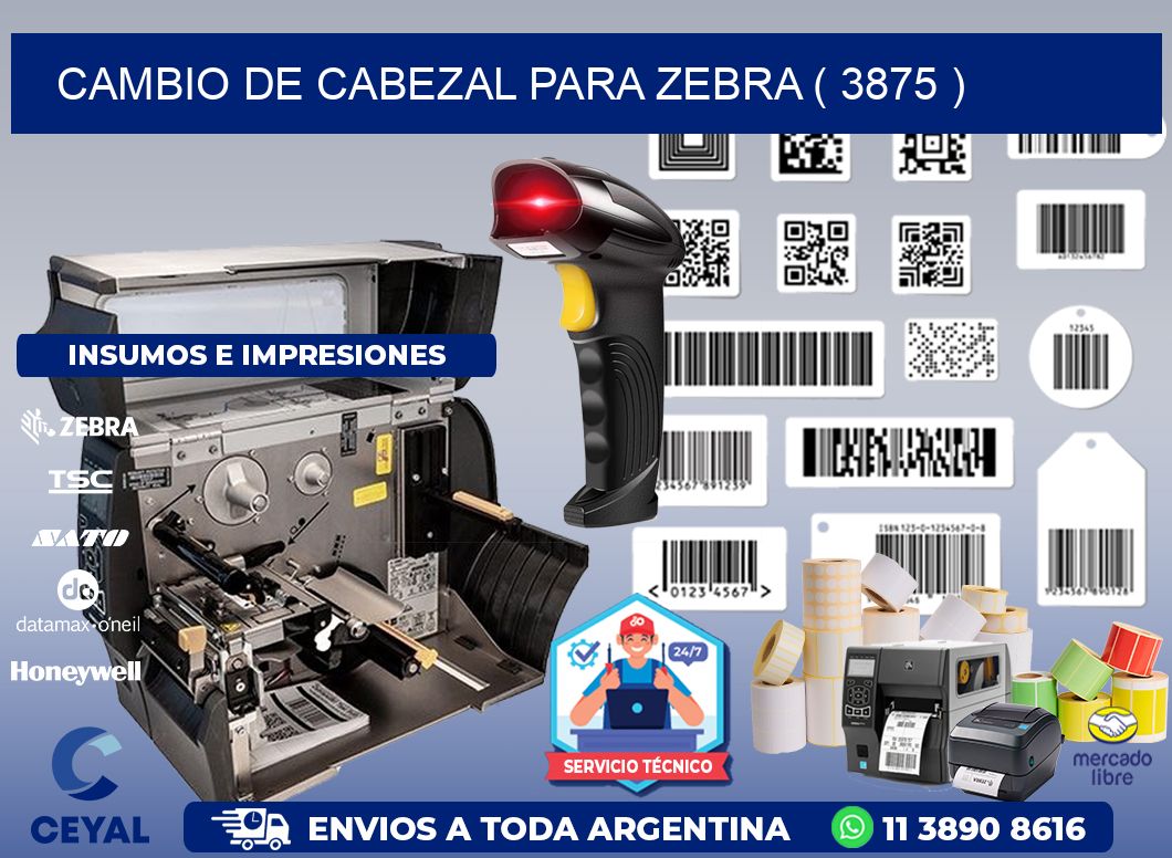 CAMBIO DE CABEZAL PARA ZEBRA ( 3875 )