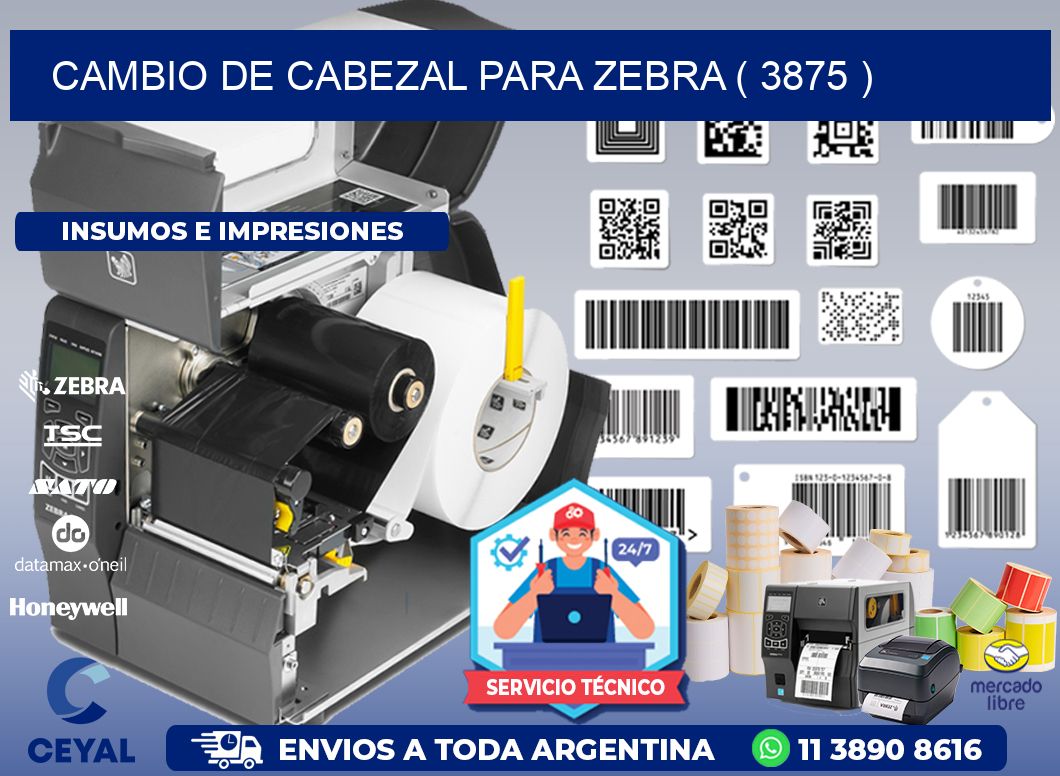 CAMBIO DE CABEZAL PARA ZEBRA ( 3875 )