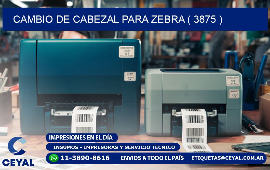 CAMBIO DE CABEZAL PARA ZEBRA ( 3875 )