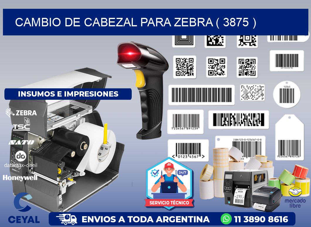 CAMBIO DE CABEZAL PARA ZEBRA ( 3875 )