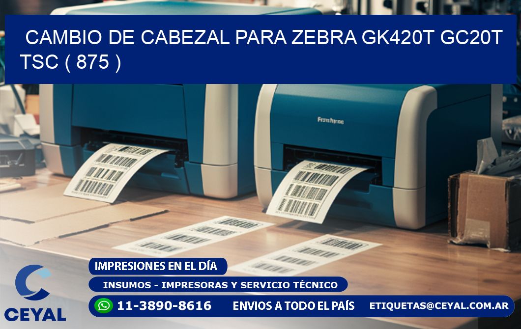 CAMBIO DE CABEZAL PARA ZEBRA GK420T GC20T TSC ( 875 )