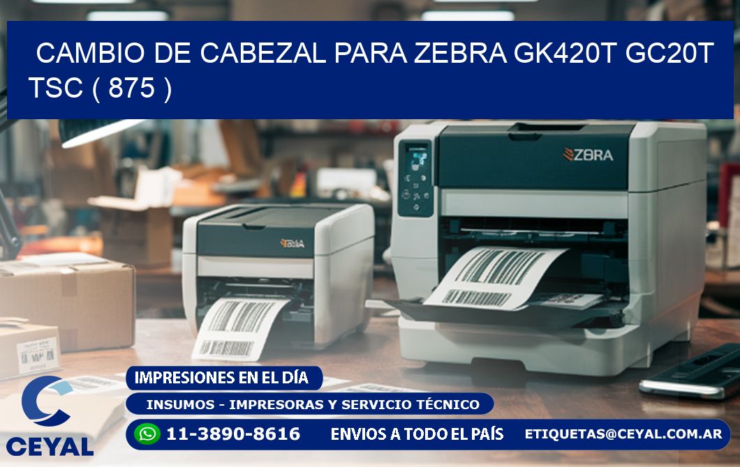 CAMBIO DE CABEZAL PARA ZEBRA GK420T GC20T TSC ( 875 )