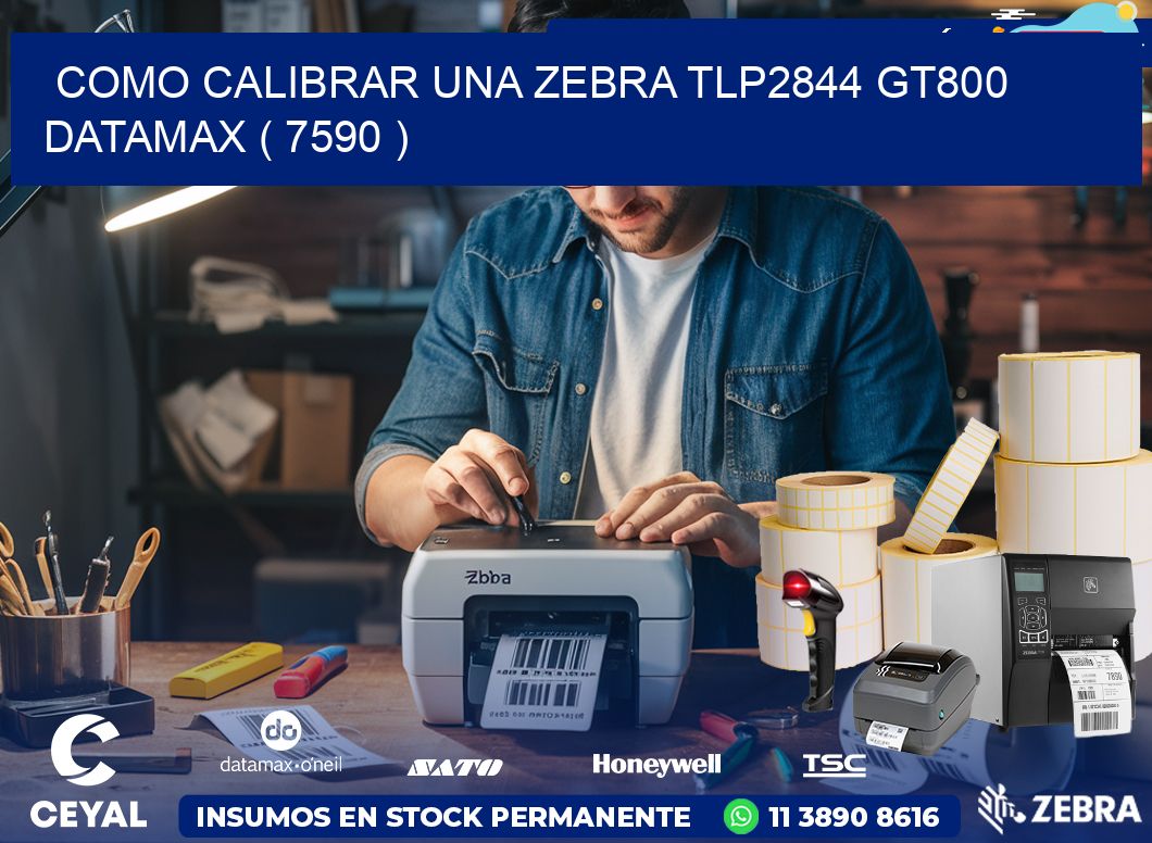 COMO CALIBRAR UNA ZEBRA TLP2844 GT800 DATAMAX ( 7590 )