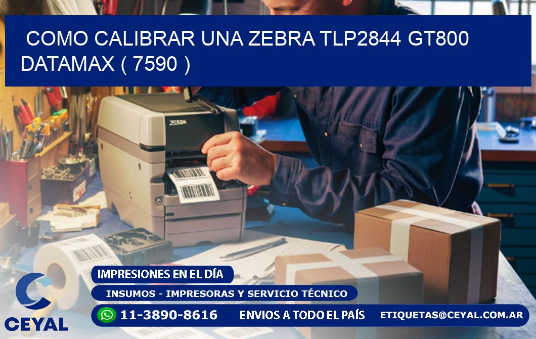 COMO CALIBRAR UNA ZEBRA TLP2844 GT800 DATAMAX ( 7590 )