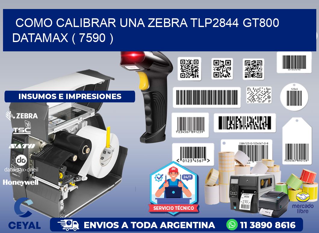 COMO CALIBRAR UNA ZEBRA TLP2844 GT800 DATAMAX ( 7590 )