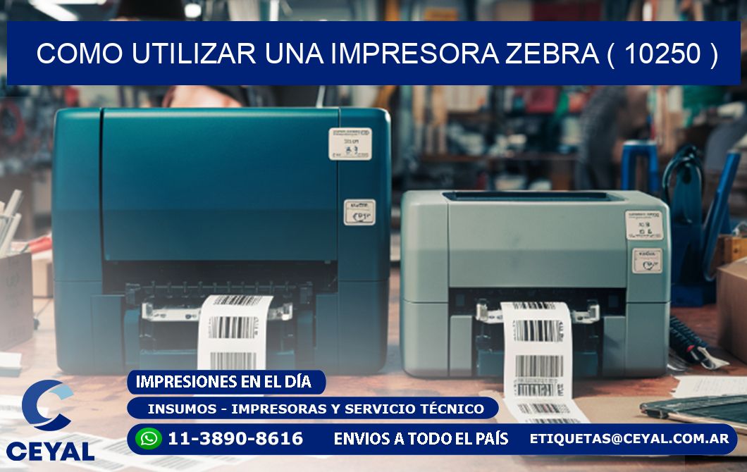 COMO UTILIZAR UNA IMPRESORA ZEBRA ( 10250 )