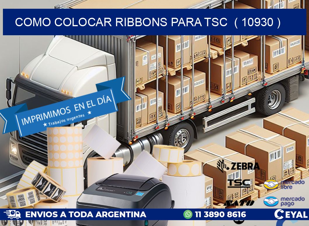 COMO COLOCAR RIBBONS PARA TSC  ( 10930 )