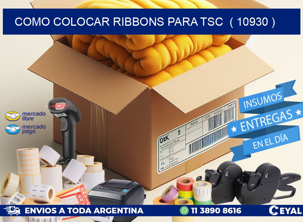 COMO COLOCAR RIBBONS PARA TSC  ( 10930 )