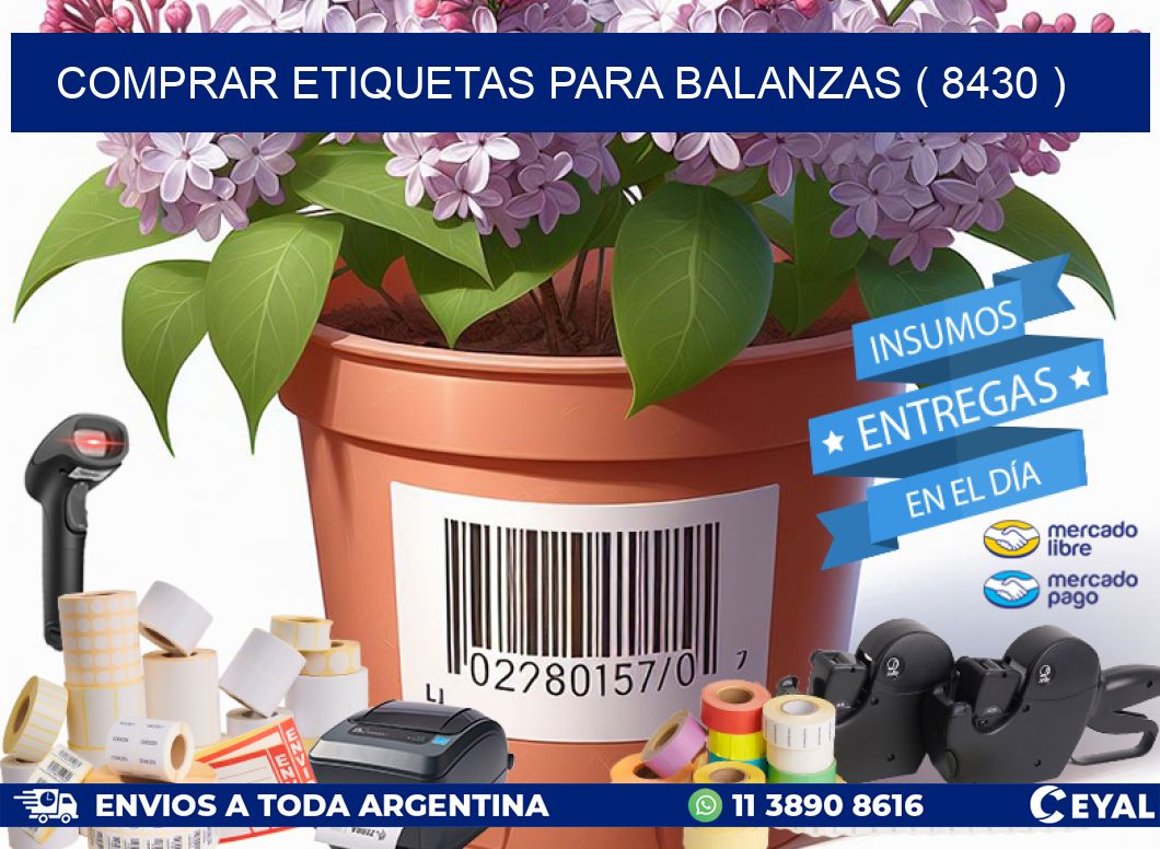 COMPRAR ETIQUETAS PARA BALANZAS ( 8430 )