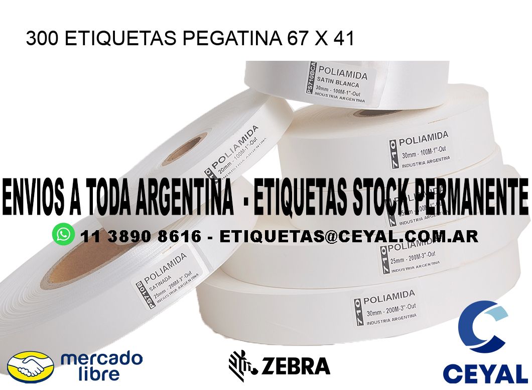 300 ETIQUETAS PEGATINA 67 x 41