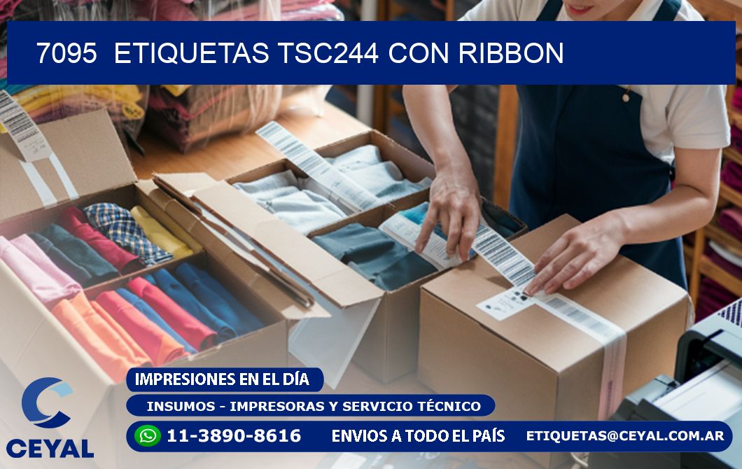 7095  ETIQUETAS TSC244 CON RIBBON