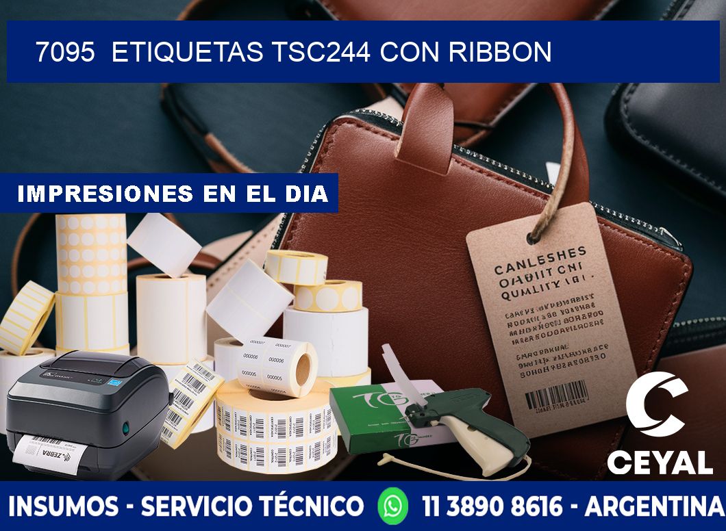 7095  ETIQUETAS TSC244 CON RIBBON