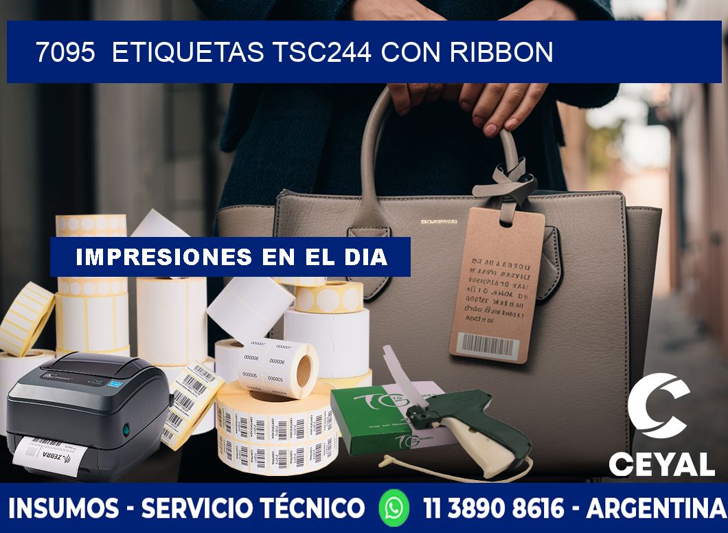 7095  ETIQUETAS TSC244 CON RIBBON