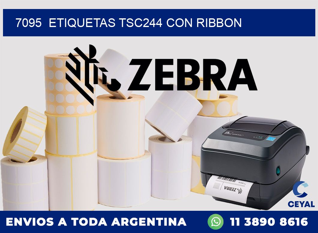 7095  ETIQUETAS TSC244 CON RIBBON