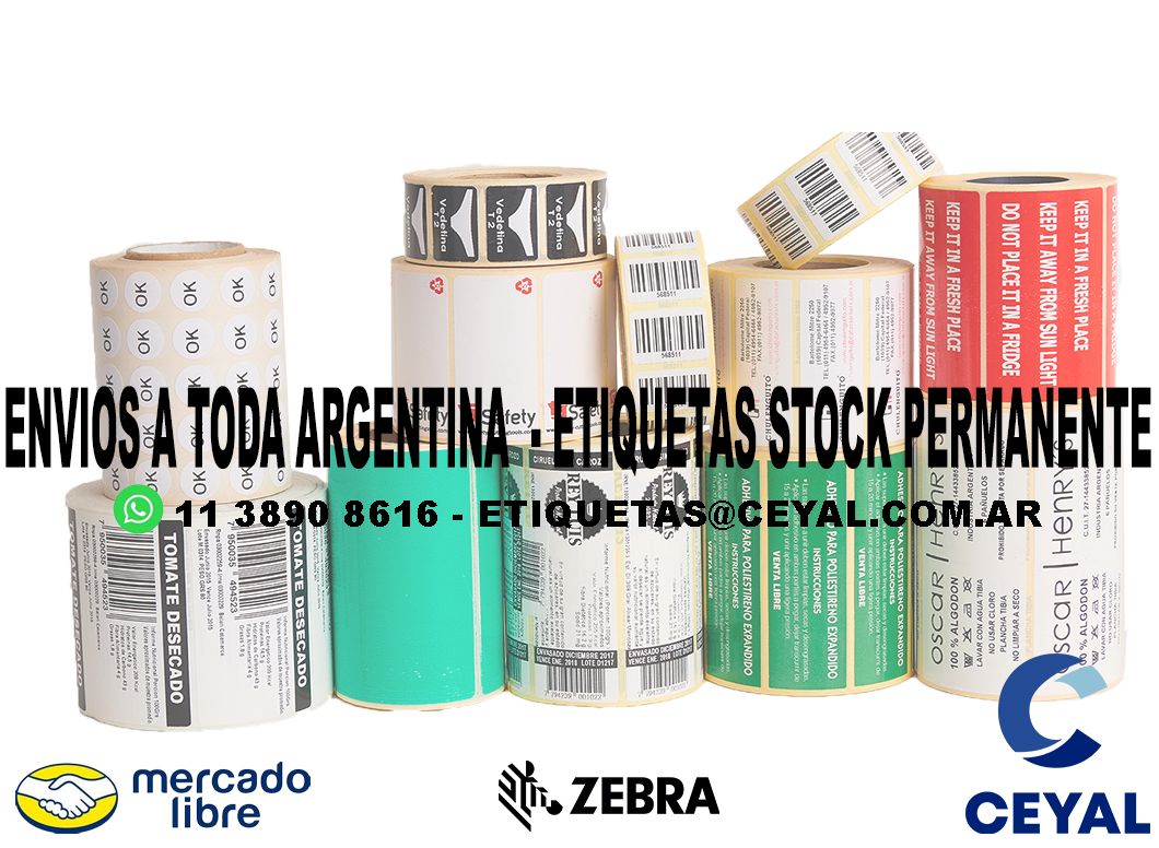 ZEBRA ZM400 100 ETIQUETAS IMPRESAS  29 x 48