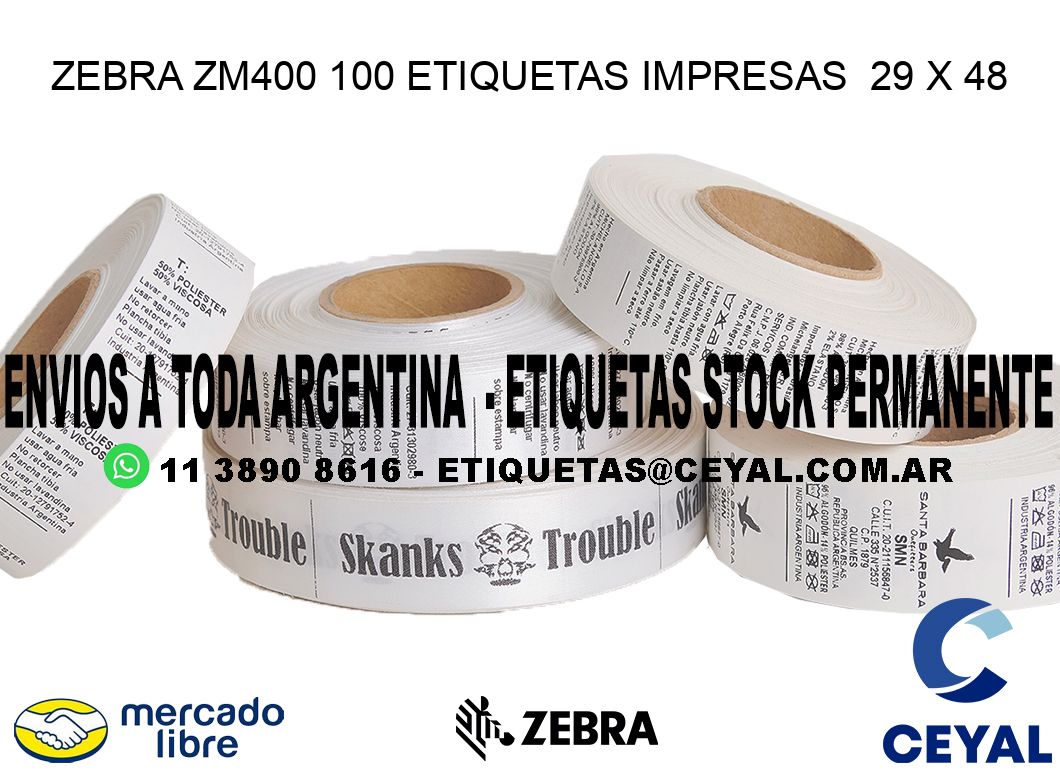 ZEBRA ZM400 100 ETIQUETAS IMPRESAS  29 x 48