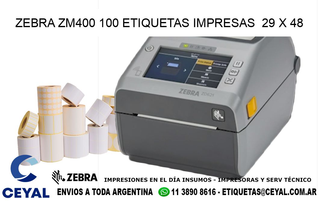 ZEBRA ZM400 100 ETIQUETAS IMPRESAS  29 x 48